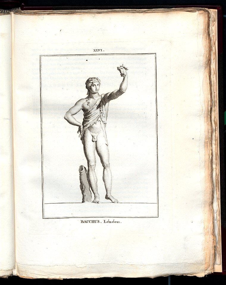 Le Museum de Florence 1787 (8163066)