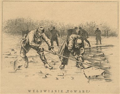 Lodownicy - Wyławianie towaru (59908)