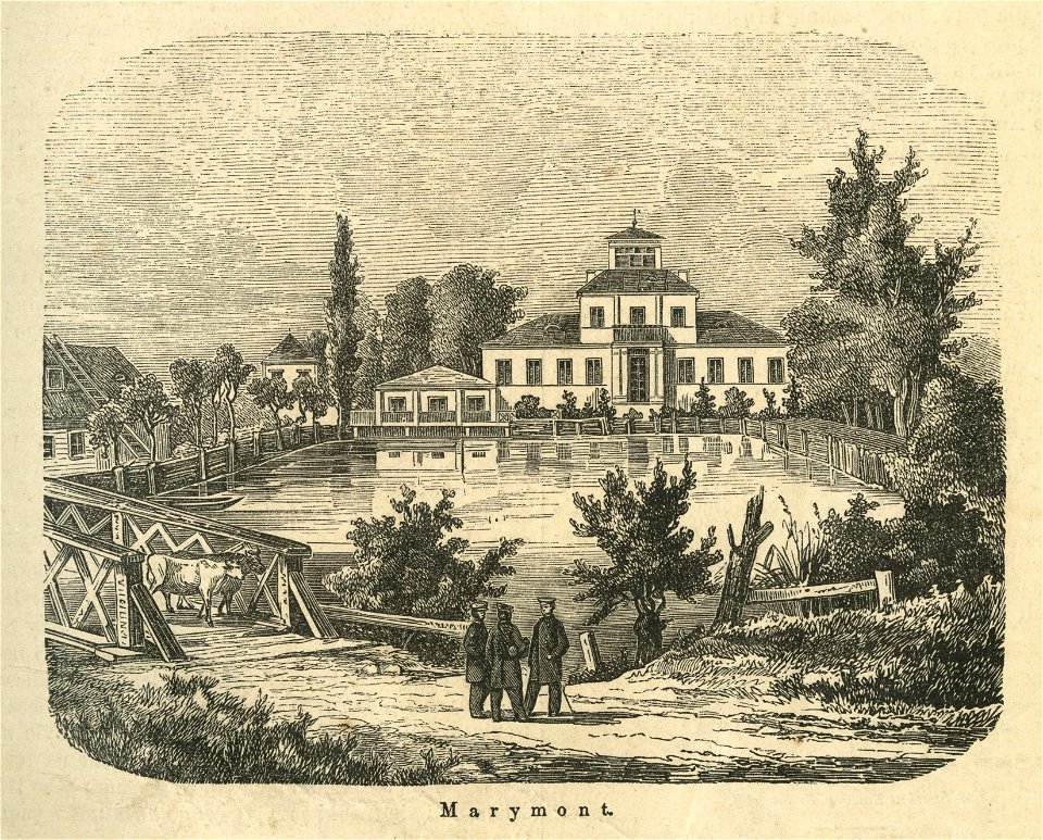 Marymont Instytut Agronomiczny (43475)