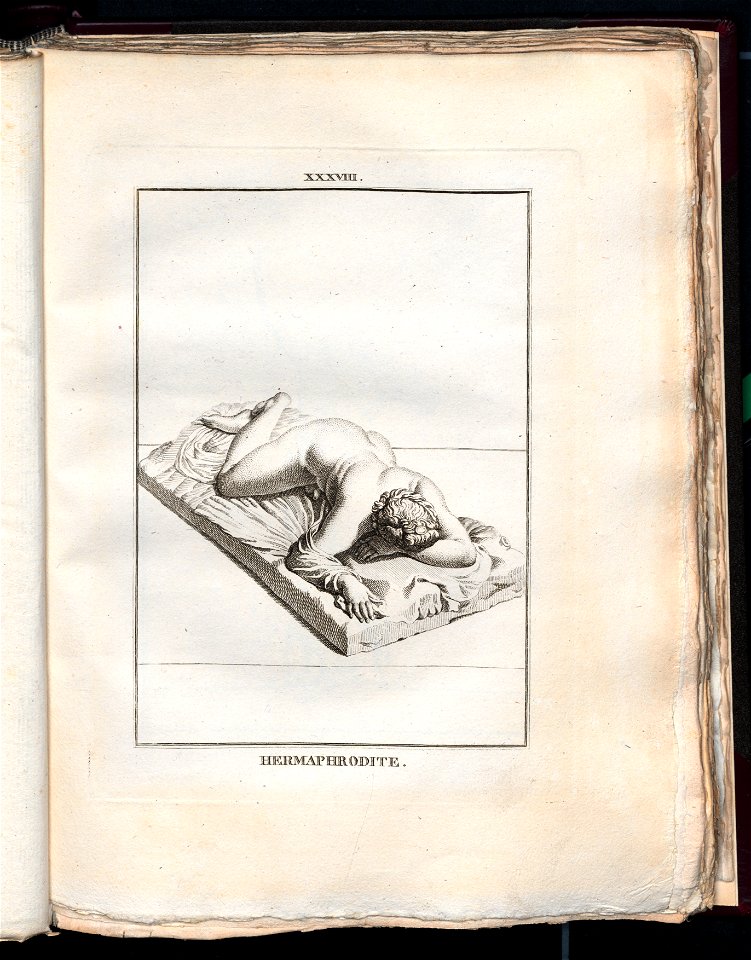 Le Museum de Florence 1787 (8162981)