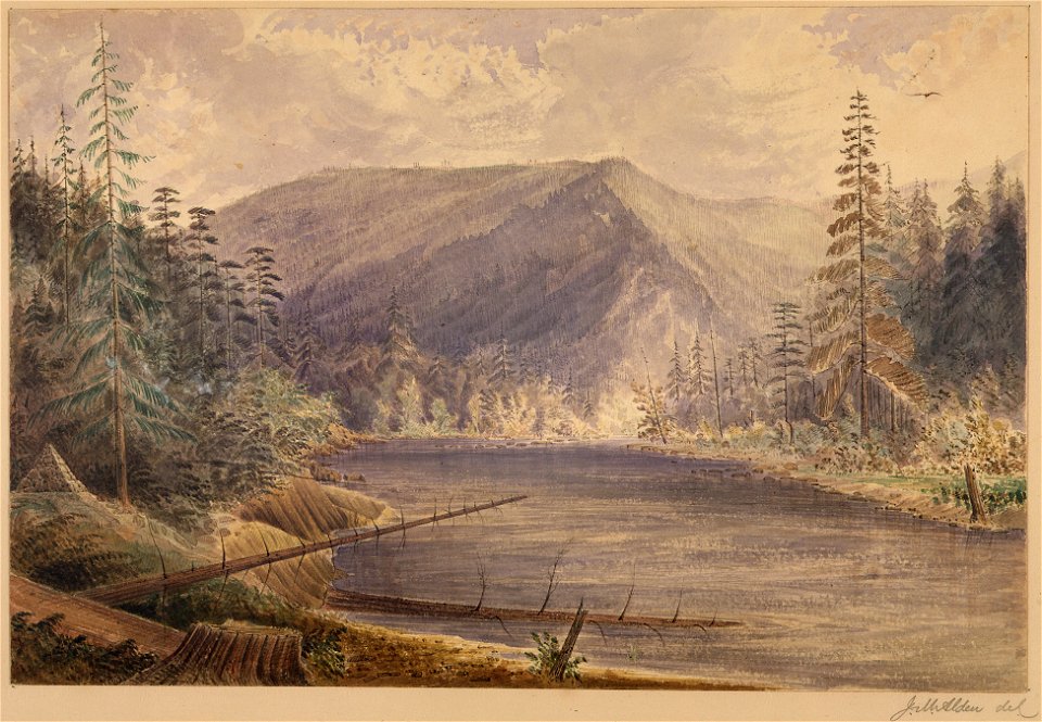Mooyie River looking South (down) from the 49th parallel - NARA - 305519