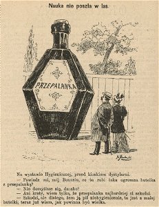 Nauka nie poszła w las (54555)