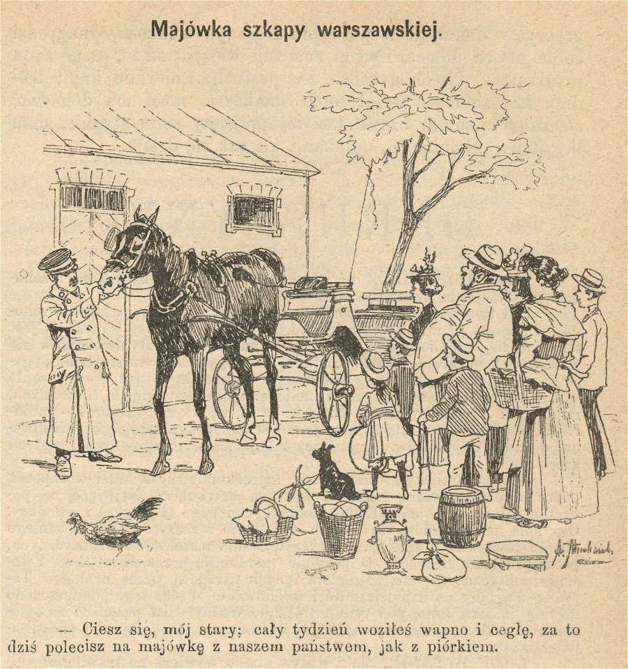 Majówka szkapy warszawskiej (54551)