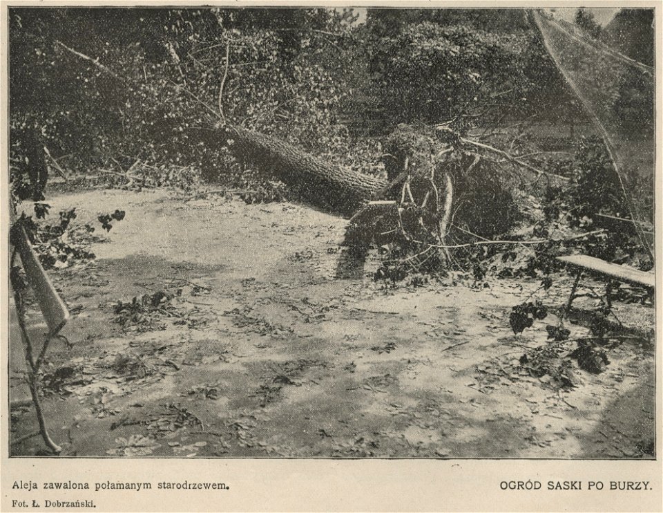 Ogród Saski po burzy (57340)
