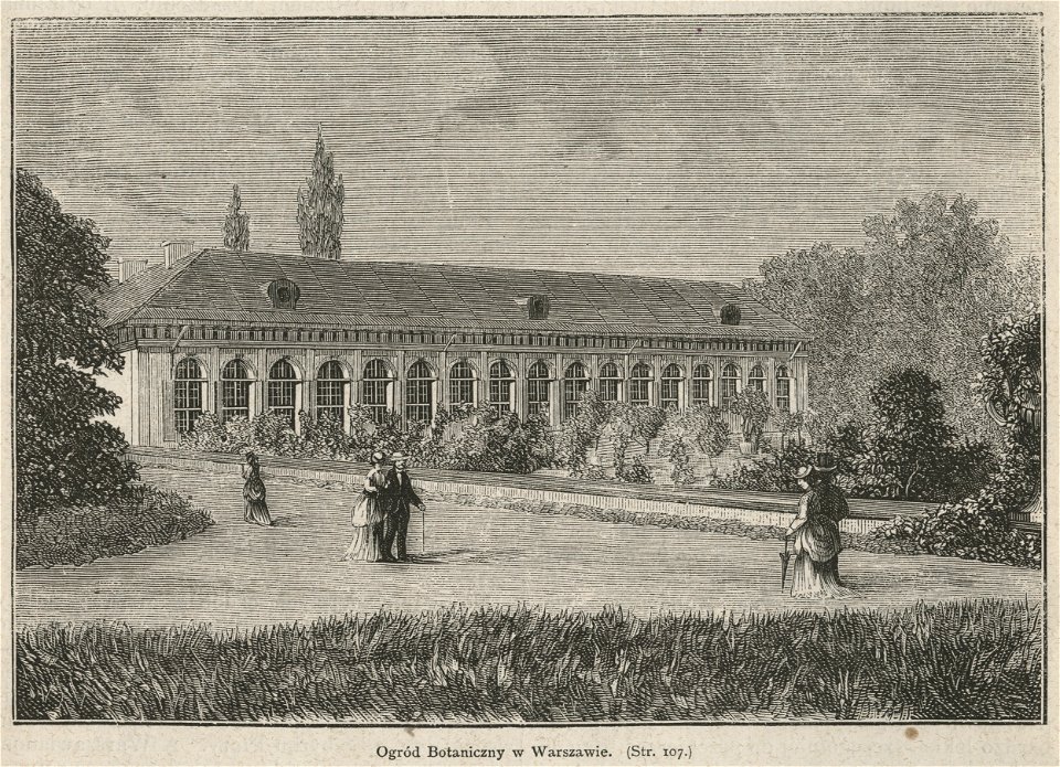Ogród Botaniczny w Warszawie (58512)