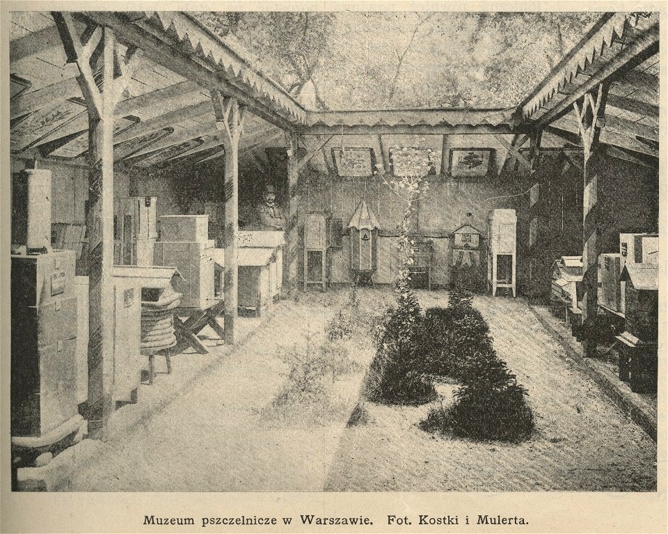 Muzeum Pszczelnicze w Warszawie (61370)