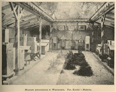Muzeum Pszczelnicze w Warszawie (61370)