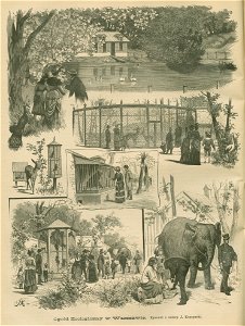 Ogród zoologiczny w Warszawie Rysował z natury J. Konopacki (76627)