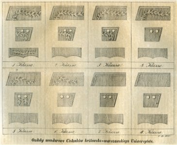 Ozdoby mundurowe Członków Królewsko-Warszawskiego Uniwersytetu (43308)