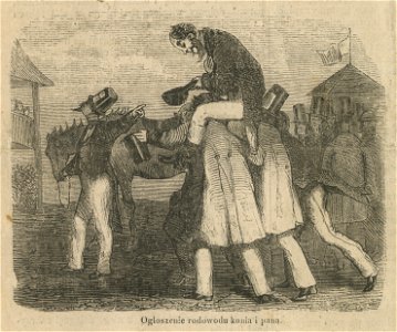 Ogłoszenie rodowodu konia i pana (43639)