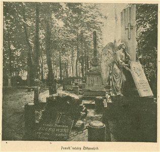 Pomnik rodziny Żółkowskich (80142)
