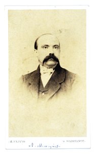 Portret A. Mierzynskiego 1868 (342170)