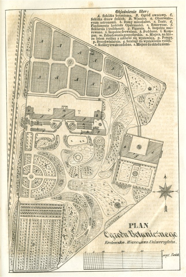 Plan Ogrodu Botanicznego Królewsko Warszaws. Uniwersytetu (43352)
