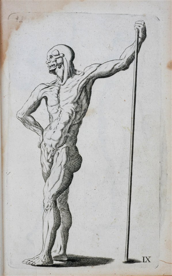 Polygraphice RGNb10364018.11.plate IX man with staff