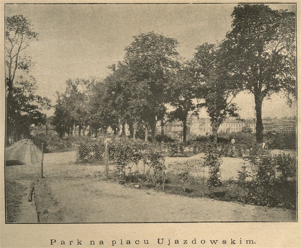 Park na placu Ujazdowskim (60683)