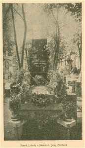 Pomnik Ludmiły z Mikorskich Jeske-Choińskiej (80141)