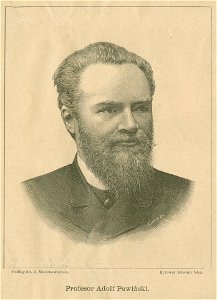 Profesor Adolf Pawiński Podług fot. J. Mieczkowskiego Rytował Edward Nicz (77925)