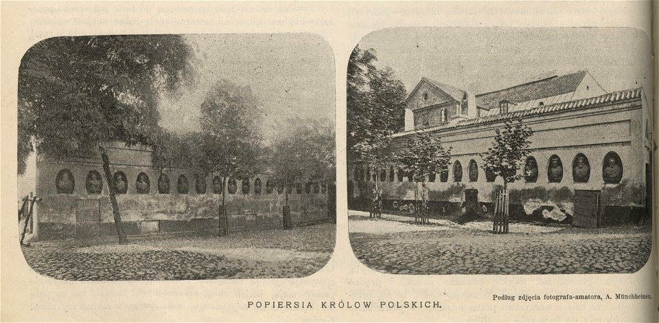 Popiersia królów polskich (55505)