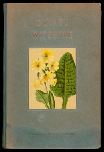 Rosliny wiosenne 1936 (107954714)