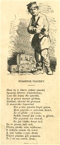 Ptasznik uliczny (43521)