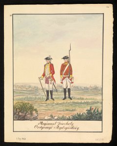 Regiment piechoty Ordynacyi Rydzynskiey. 1847 (72495083)