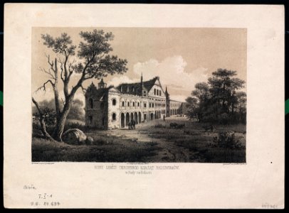 Ruiny zamku obronnego ksiazat Radziwillow w Bialy ! na Podlasiu 1850-1862 (8212980)
