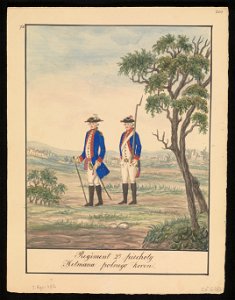 Regiment 2gi piechoty Hetmana Polnego Koron. 1847 (72495180)