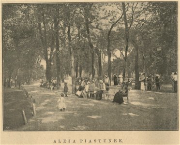 Saski ogród w Warszawie - Aleja piastunek (60538)