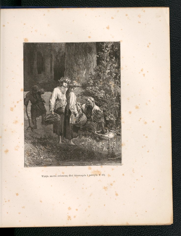 Stara basn - powiesc z dziewiatego wieku 1879 (102447055)