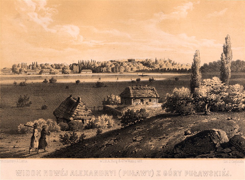 Puławy panorama