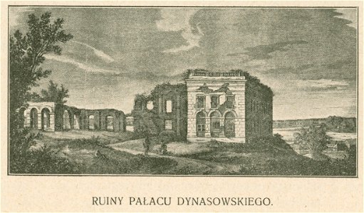 Ruiny pałacu Dynasowskiego (79036)