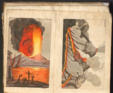 Swiat w obrazach - wiazanie dla dzieci, z opisaniem i 300 wizerunkami 1842 (123383132)