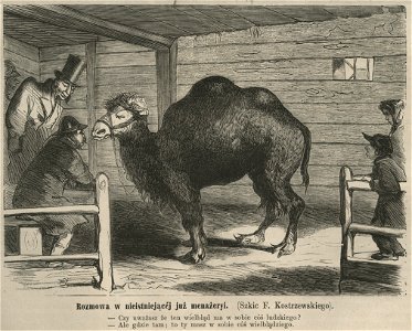 Rozmowa w nieistniejącej już menażeryi - (Szkic F. Kostrzewskiego) (58061)
