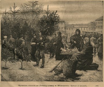 Sprzedaż choinek za Żelazną Bramą (59034)