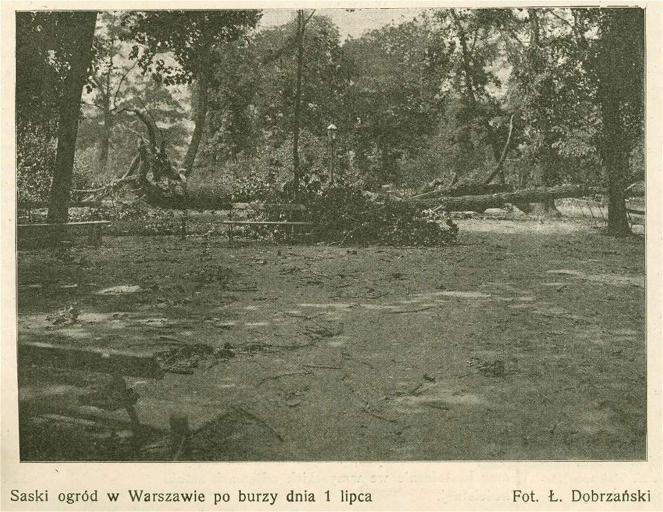 Saski ogród w Warszawie po burzy dnia 1 lipca Fot. Ł. Dobrzański (76320)