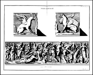 Supplement au livre de l'antiquite expliquee et representee en figures. T. 5, qui comprend les funerailles 1724 (131113667)