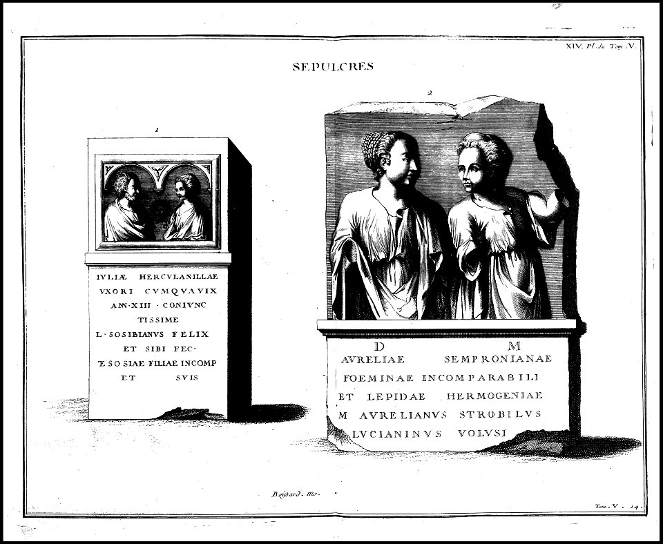 Supplement au livre de l'antiquite expliquee et representee en figures. T. 5, qui comprend les funerailles 1724 (131113475)
