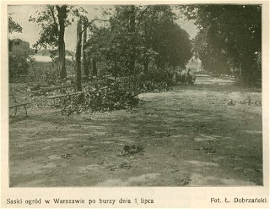 Saski ogród w Warszawie po burzy dnia 1 lipca Fot. Ł. Dobrzański (76369)
