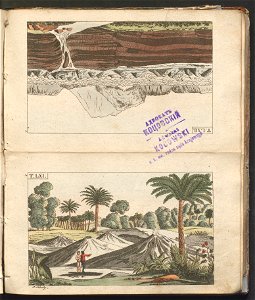 Swiat w obrazach - wiazanie dla dzieci, z opisaniem i 300 wizerunkami 1842 (123383104)