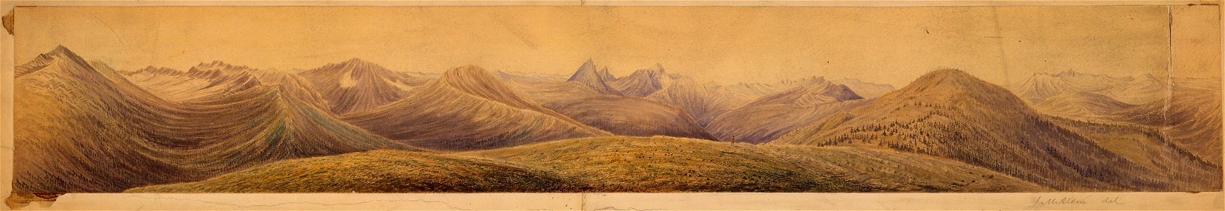 Summit of Cascade Mountains, from trail looking West - NARA - 305498