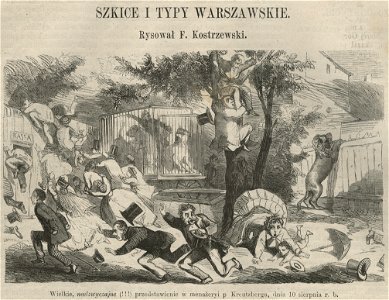 Szkice i typy warszawskie - W menażerii - Wielkie, nadzwyczajne (58387)
