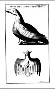 Supplement au livre de l'antiquite expliquee et representee en figures. T. 5, qui comprend les funerailles 1724 (131113751)