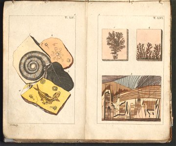 Swiat w obrazach - wiazanie dla dzieci, z opisaniem i 300 wizerunkami 1842 (123383108)