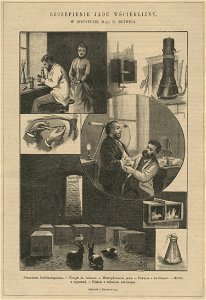 Szczepienie jadu wścieklizny w Instytucie D-ra O. Bujwida (52638)