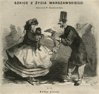 Szkice z życia warszawskiego - Rysował F. Kostrzewski - Nr 10 - Modne pieski (57951)