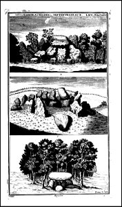 Supplement au livre de l'antiquite expliquee et representee en figures. T. 5, qui comprend les funerailles 1724 (131113726)