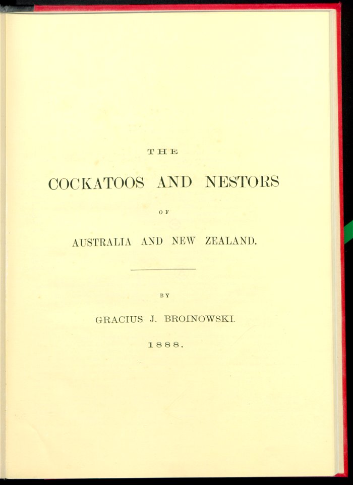 The cockatoos and nestors of Australia and New Zealand 1981 (13383834)
