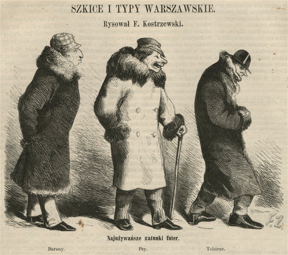 Szkice i typy warszawskie - Najużywańsze gatunki futer - Barany - Psy - Tchórze (58098)