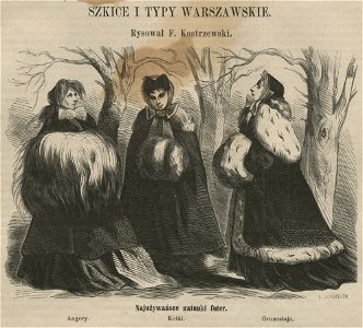 Szkice i typy warszawskie - Najużywańsze gatunki futer - Angory - Kotki - Gronostaje (58110)