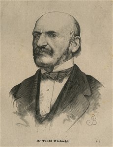 Teofil Wisłocki (58778)